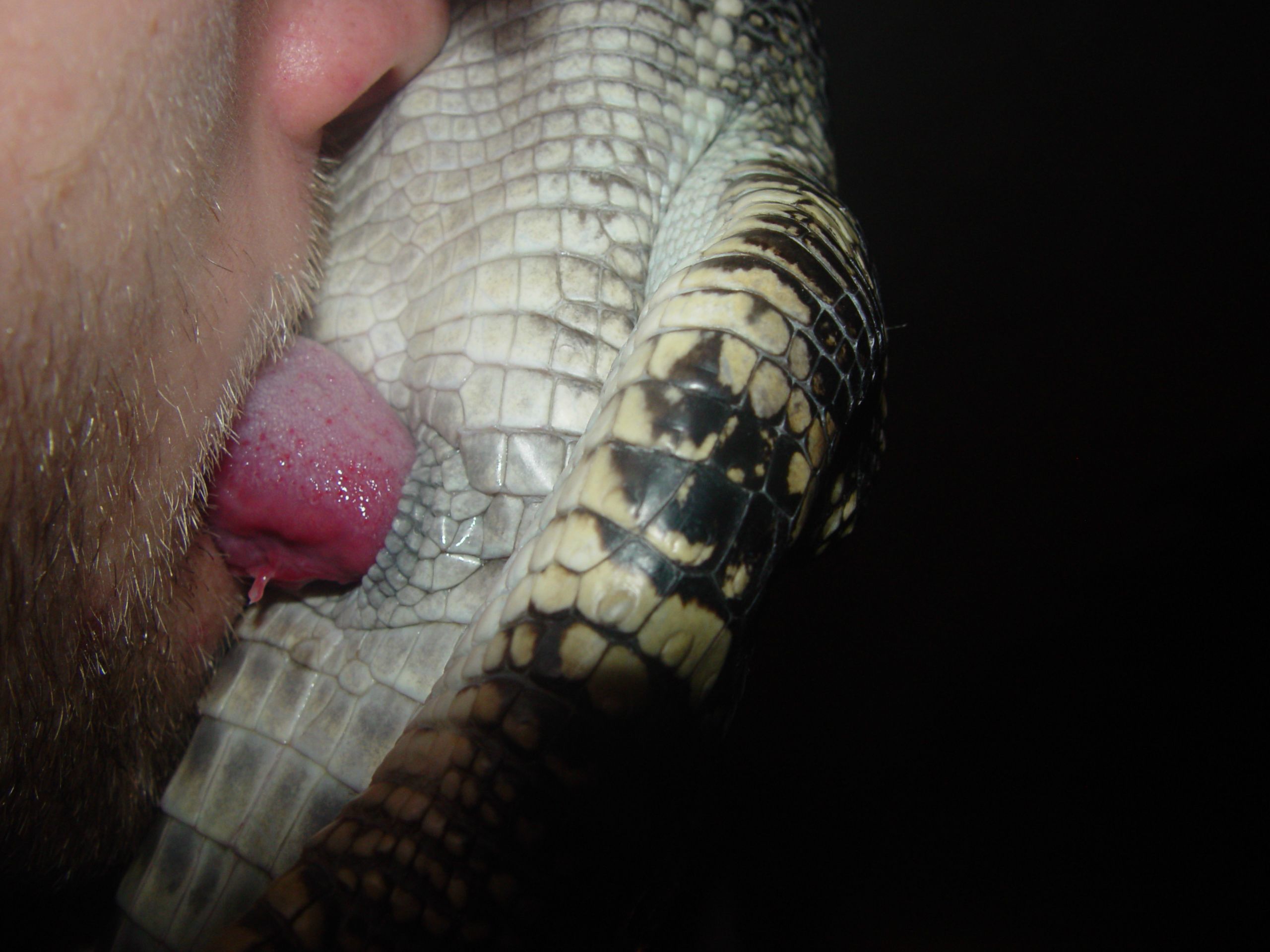 порно как засовывают змею фото 41